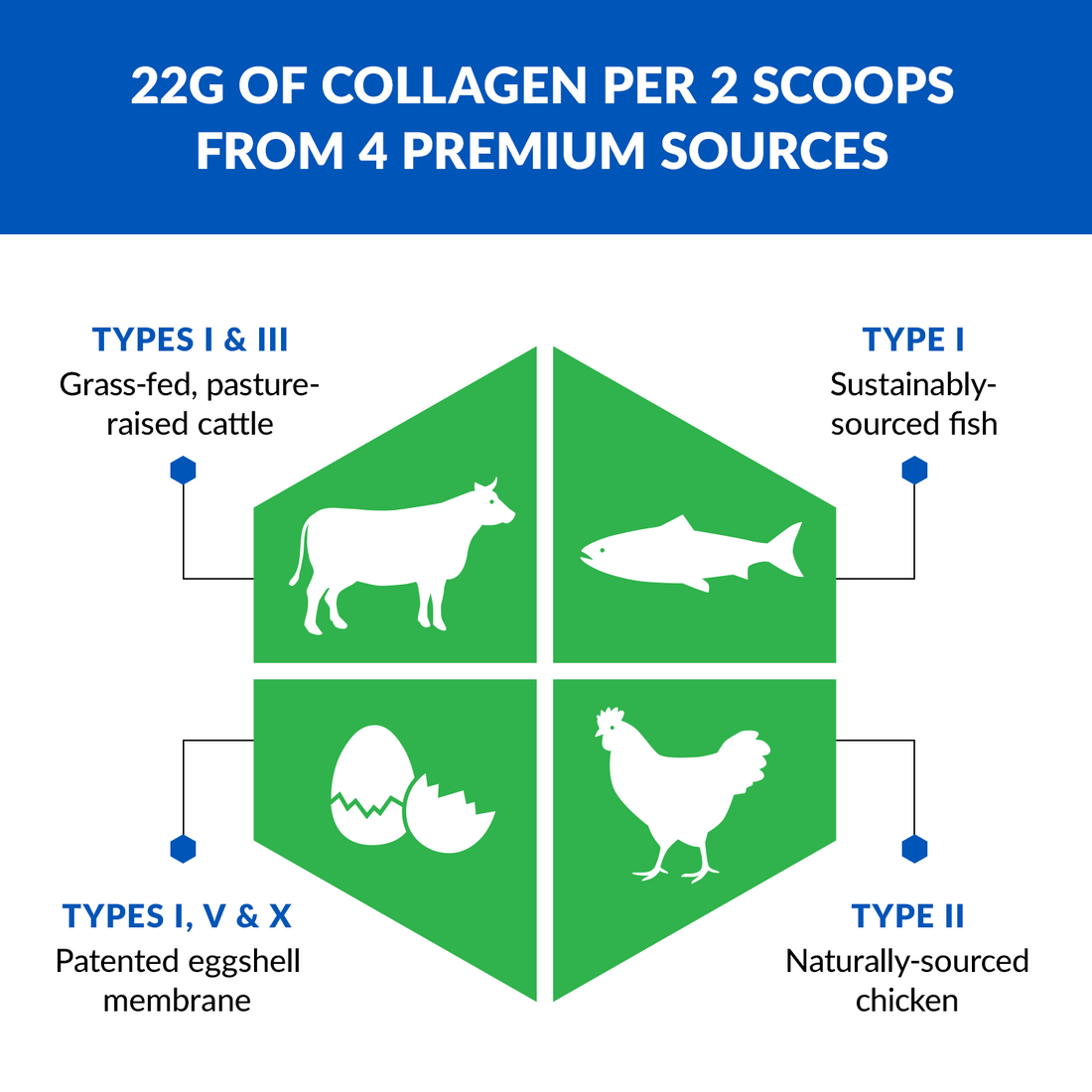 Ageless Multi Collagen® Protein Powder Stick Packs - Image 3 of 6
