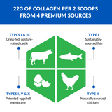 Ageless Multi Collagen® Protein Powder Stick Packs thumbnail 3