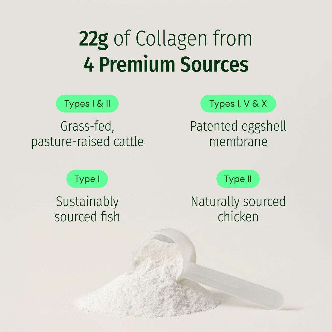 Ageless Multi Collagen® Protein Powder Tub - Image 4 of 7