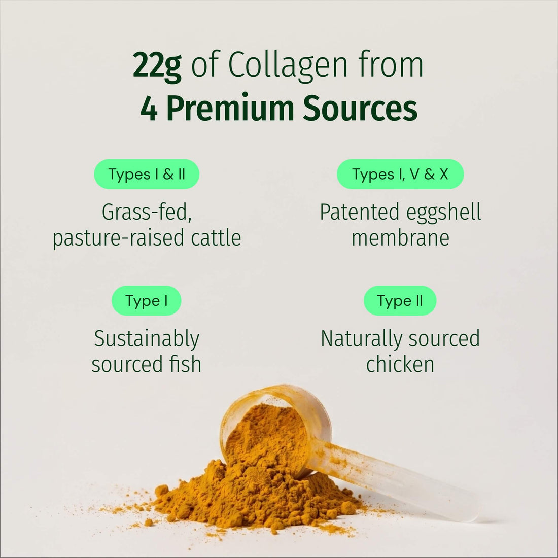 Ageless Multi Collagen® + Turmeric - Image 3 of 5