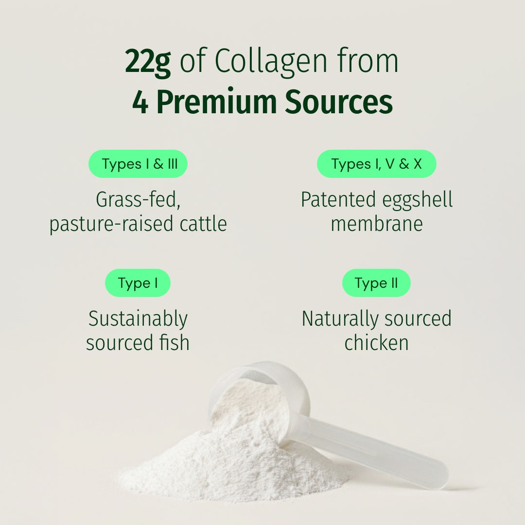 Ageless Multi Collagen® Protein Powder - Image 4 of 8