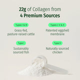 Ageless Multi Collagen® Protein Powder thumbnail 4