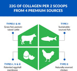 Ageless Multi-Collagen® + Keto – Premium Keto Collagen Powder thumbnail 4