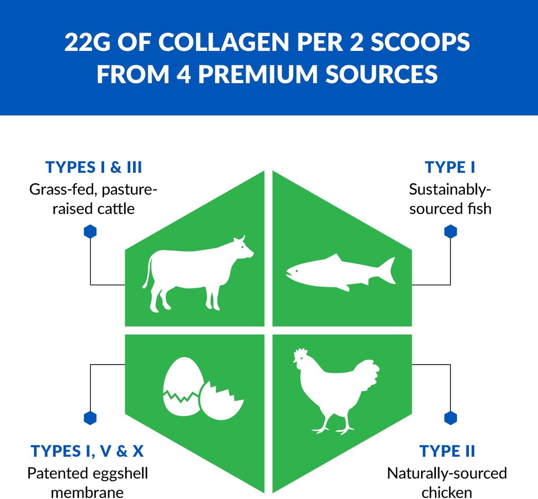 Ageless Multi-Collagen® + Turmeric — Golden Milk Flavor - Image 3 of 7