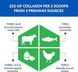 Ageless Multi-Collagen® + Turmeric — Golden Milk Flavor thumbnail 3