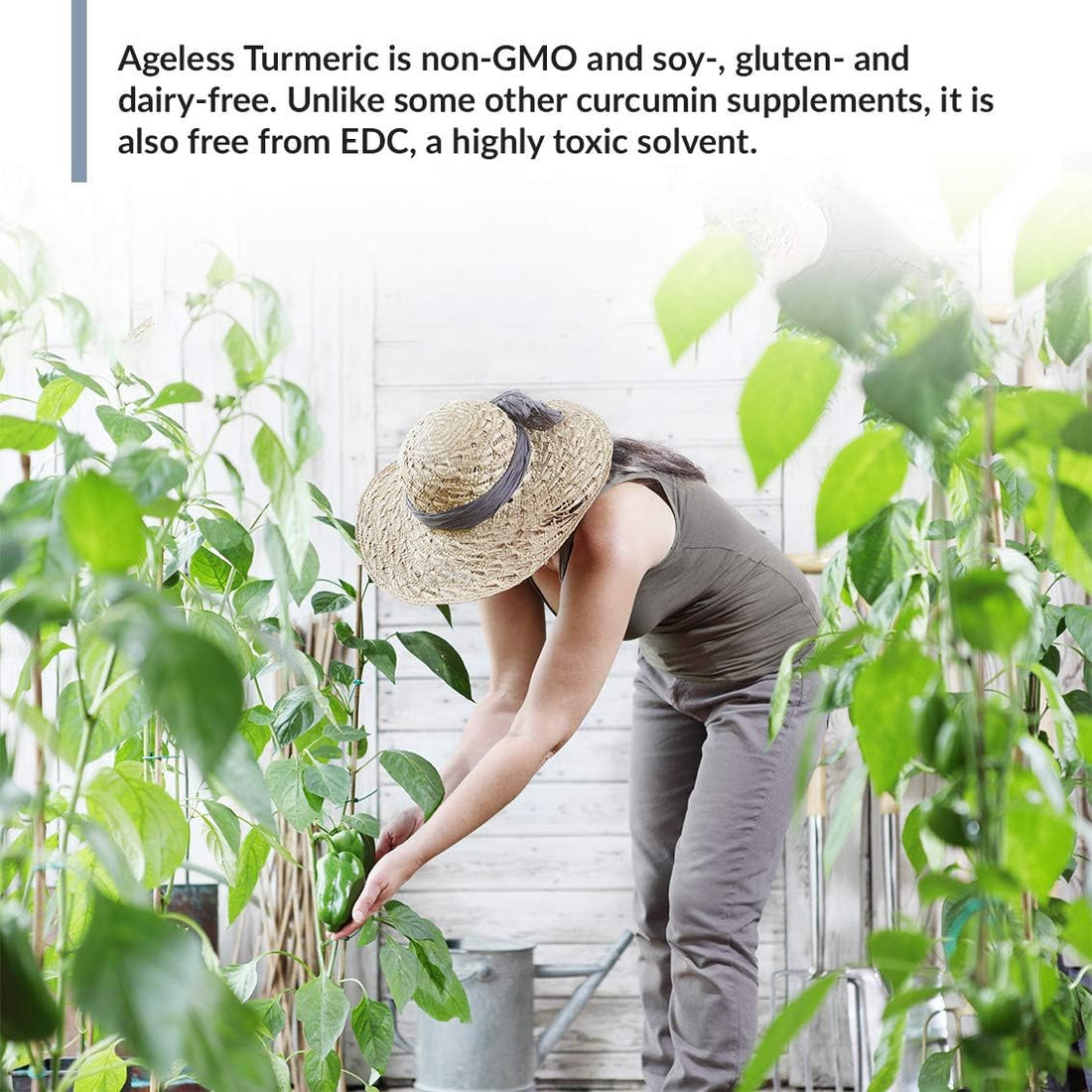 Ageless Turmeric® - Image 5 of 7