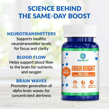 Brain Bright® — Brain Support Supplement thumbnail 4