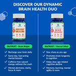 Brain Bright® — Brain Support Supplement thumbnail 5