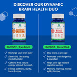 Brain Bright® — Brain Support Supplement thumbnail 5