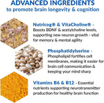 ETERNAL MIND® Brain Health Supplement for Longevity and Cognition thumbnail 3