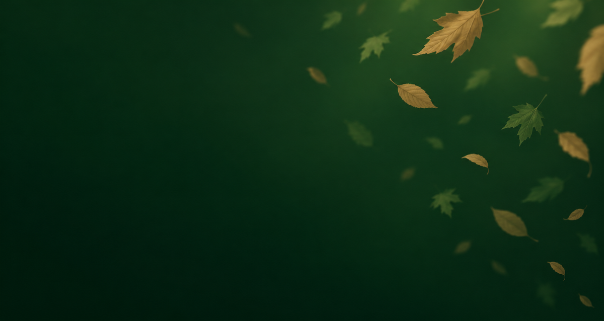 Your Whole Day, at Fall Prices