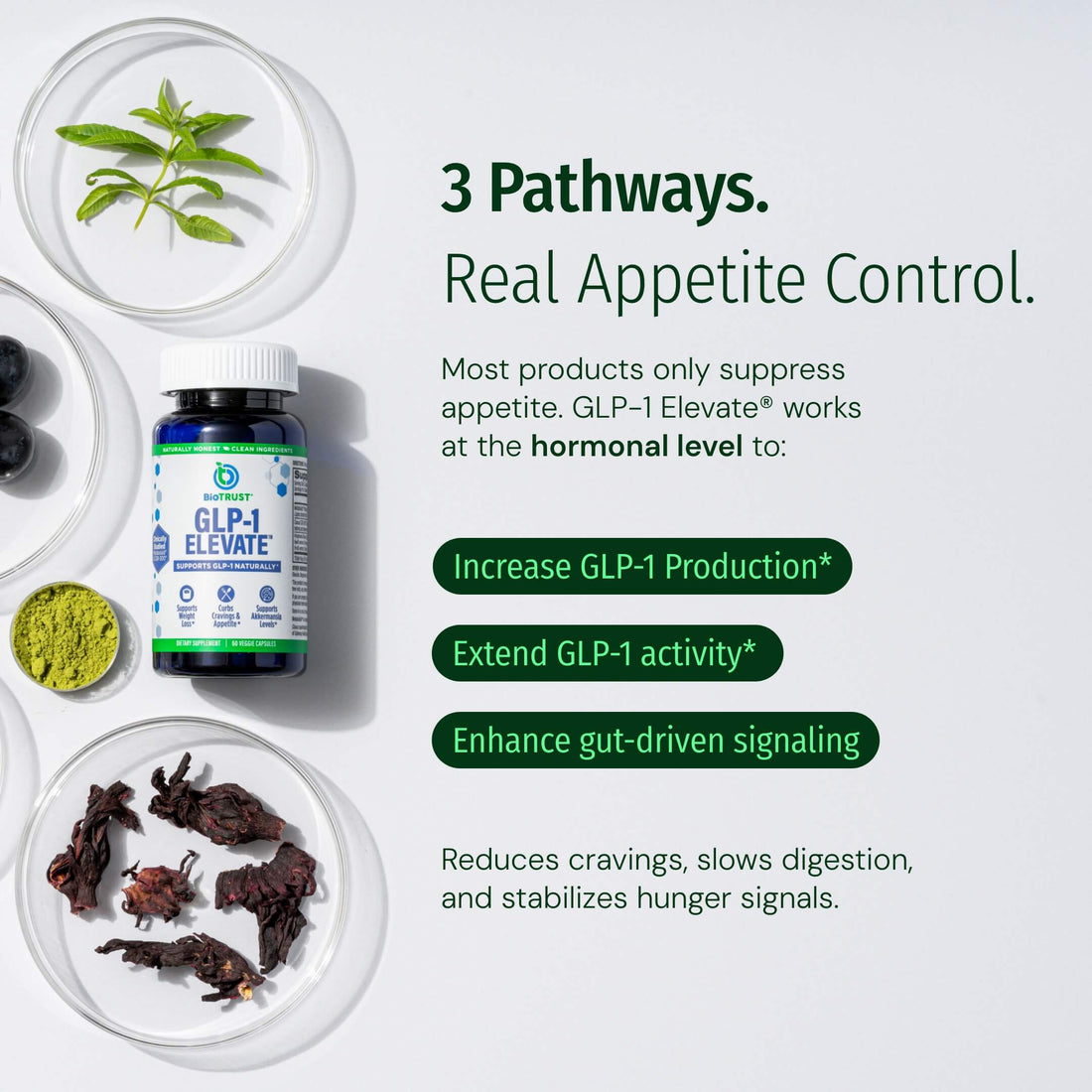 glp-1 nausea law office in michigan Repurposing glucagon-like peptide-1 receptor agonists for the treatment of  neurodegenerative disorders