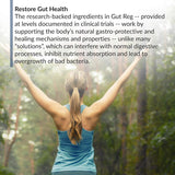 Gut Reg™ — Advanced Gut Lining Support Supplement thumbnail 3