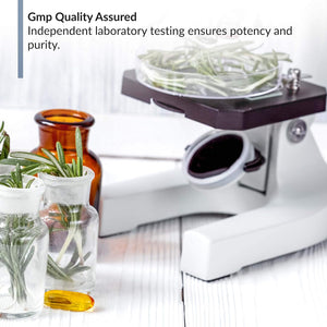 OmegaKrill™ — Pure & Potent Omega-3 Supplement