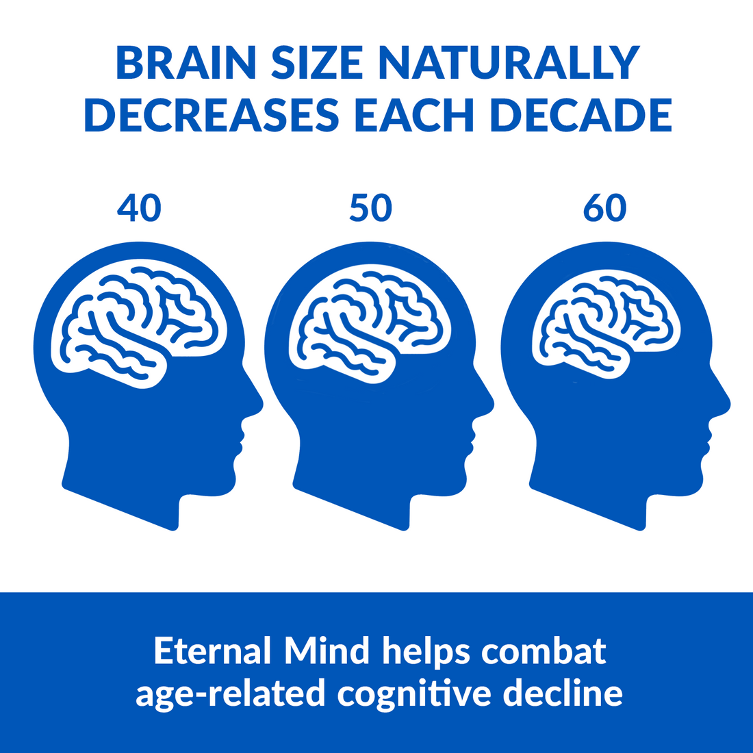 Eternal Mind (6 Pack) - Image 2 of 14