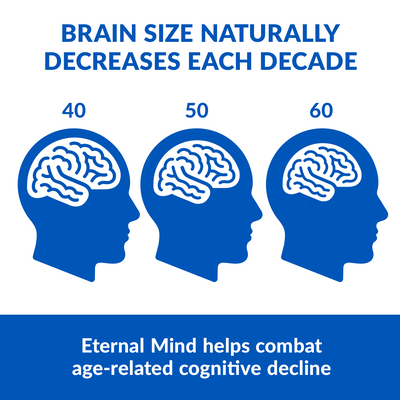 Eternal Mind - Image 2