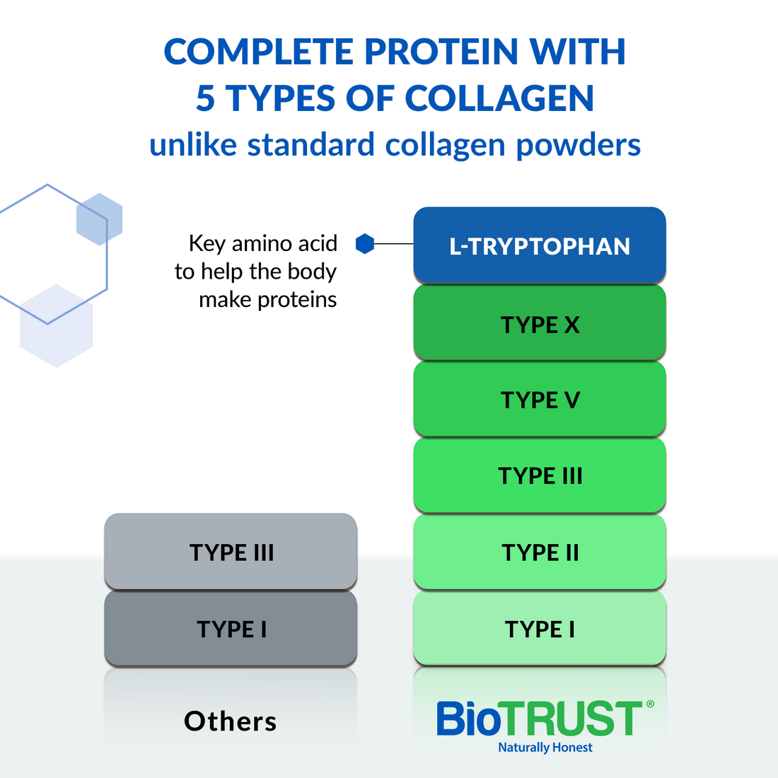 Ageless Multi Collagen® Protein Powder Stick Packs - Image 2 of 6