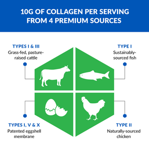 AGELESS MULTI-COLLAGEN® PROTEIN POWDER