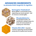 Eternal Mind (6 Pack) thumbnail 12