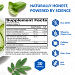 Eternal Mind (6 Pack) thumbnail 14