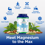 Ageless Multi Magnesium thumbnail 2