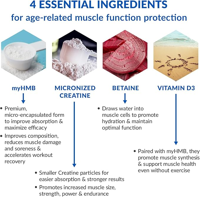 Ageless Muscle — Rebuild & Preserve Muscle - Image 5 of 11