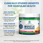 Ageless Muscle — Rebuild & Preserve Muscle thumbnail 8