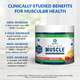 Ageless Muscle — Rebuild & Preserve Muscle