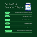 Ageless Multi Collagen® Protein Powder Tub thumbnail 5
