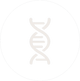CELLULAR AGING SUPPORT