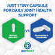 Joint 33X™ — Advanced 3-in-1 Joint Health Supplement