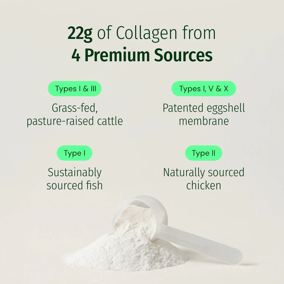 22g of collagen from 4 premium sources