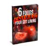 6 Foods Destroying Your Gut Lining eBook (Instant Download)